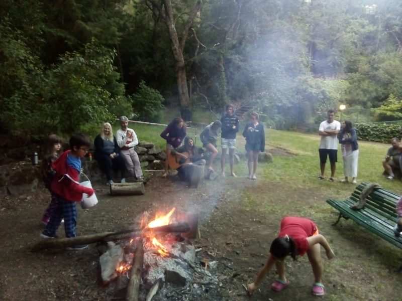 Actividades de verano en RDA: Múltiples propuestas, para todos los gustos