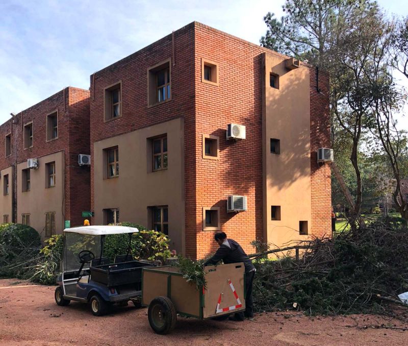 Obras de mantenimiento en Rincón del Este