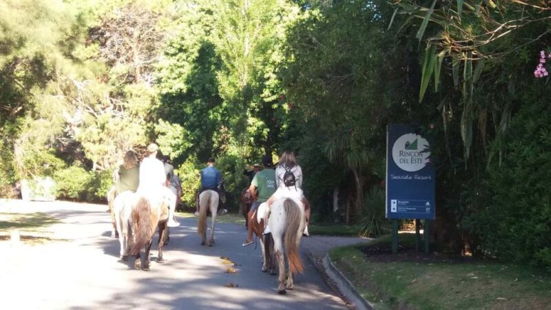 Servicios habilitados en Rincón del Este. Verano 2021