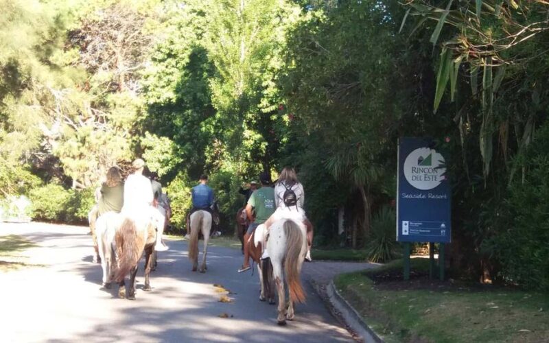 Servicios habilitados en Rincón del Este. Verano 2021