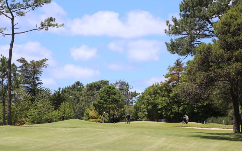 Se realizó la XXIV Copa Rincón Club de Golf