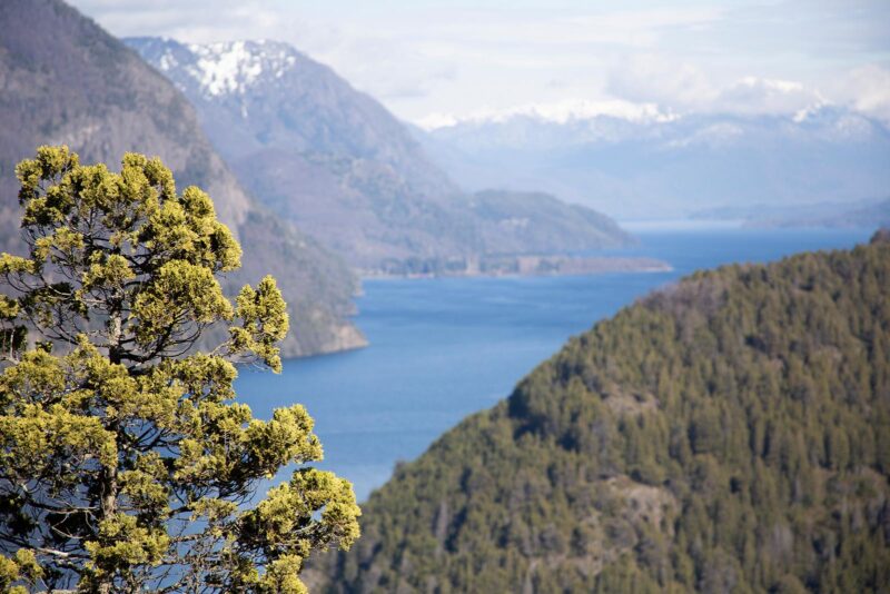 San Martín de los Andes en primavera: tres experiencias al aire libre