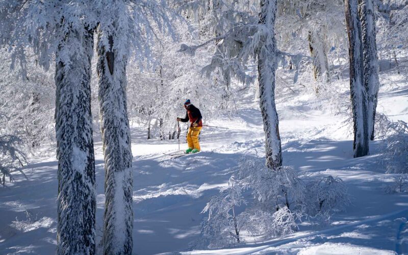 Chapelco 2026: una nueva etapa en la montaña