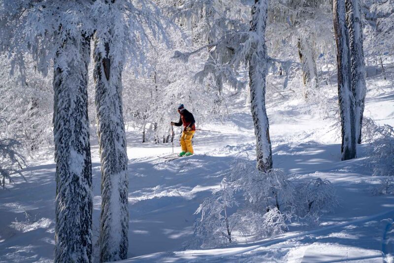 Chapelco 2026: una nueva etapa en la montaña